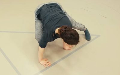 Nieuw: Physical Dynamics