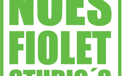 Noes Fiolet Studio’s BV wordt Stichting